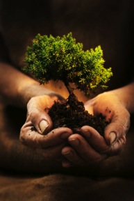 beginning_of_positive_psychology